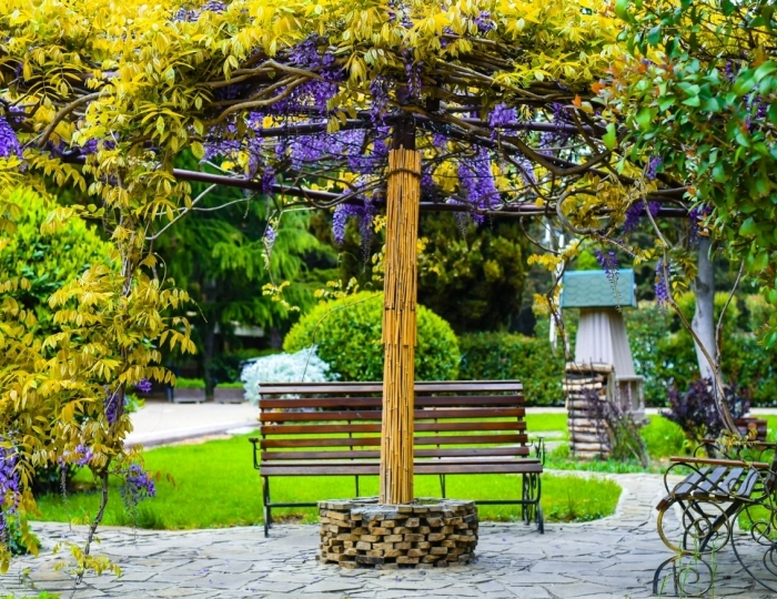 Санаторий Golden Family Resort / Голден Фемили Резорт Алушта